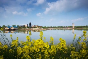 登录/注册后可看大图