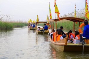 登录/注册后可看大图