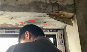 登录/注册后可看大图