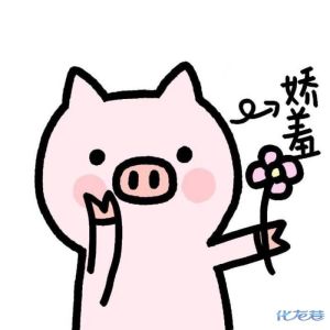 登录/注册后可看大图