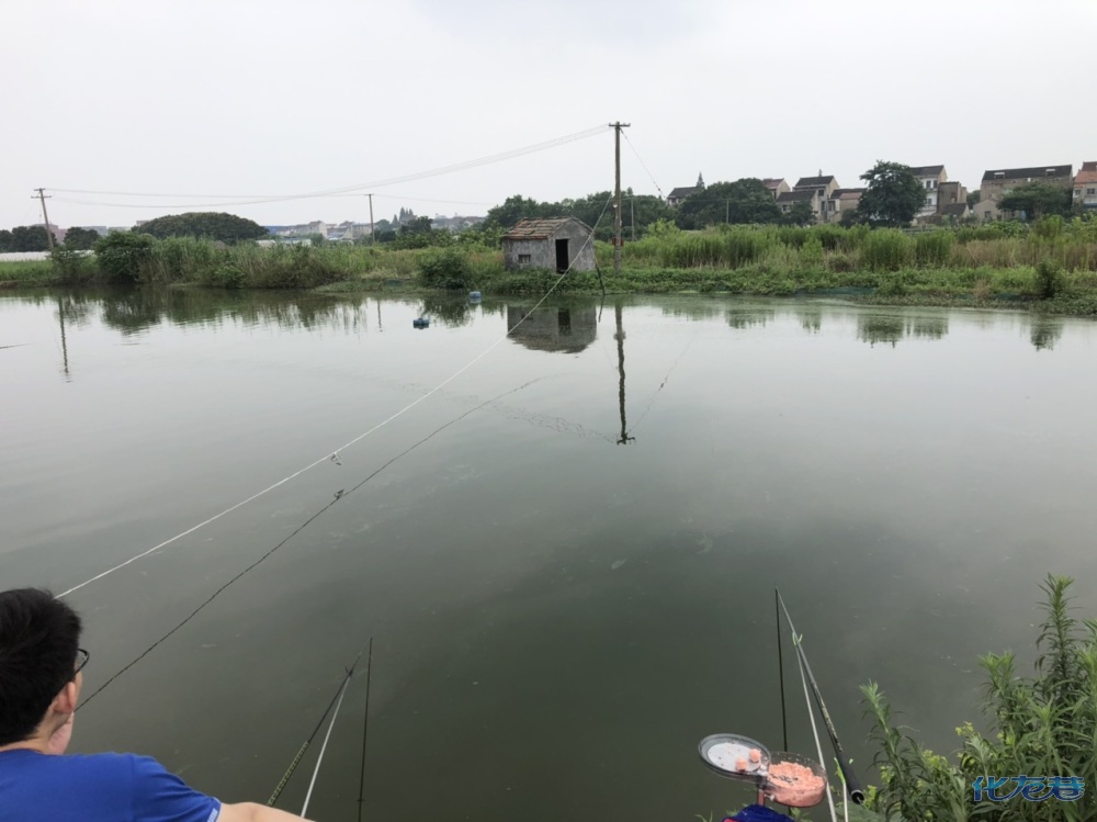 钓鱼,10元一斤