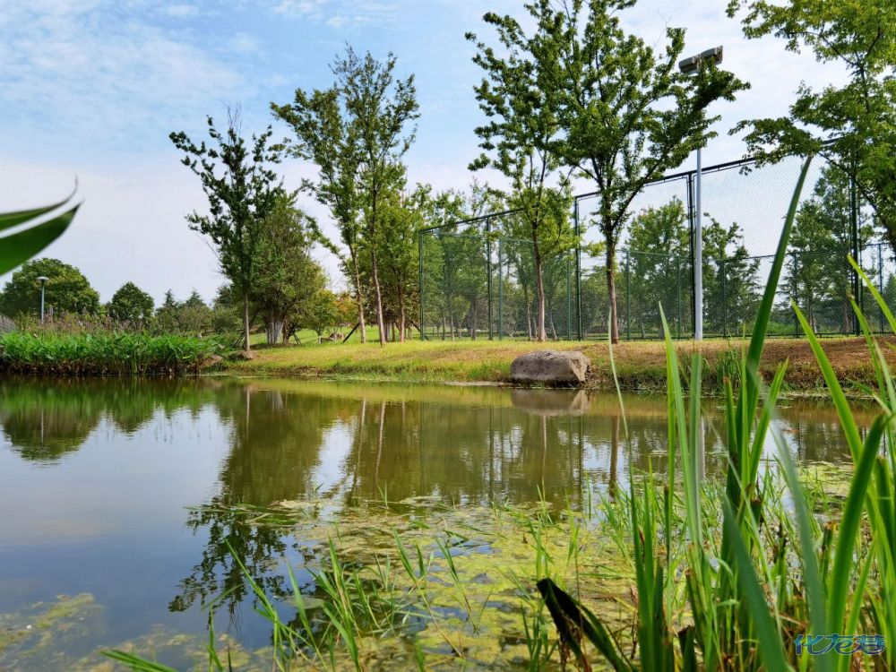 打卡:大美滆湖湿地公园(第二篇),大家来的时候还需注意哈,洁净环境