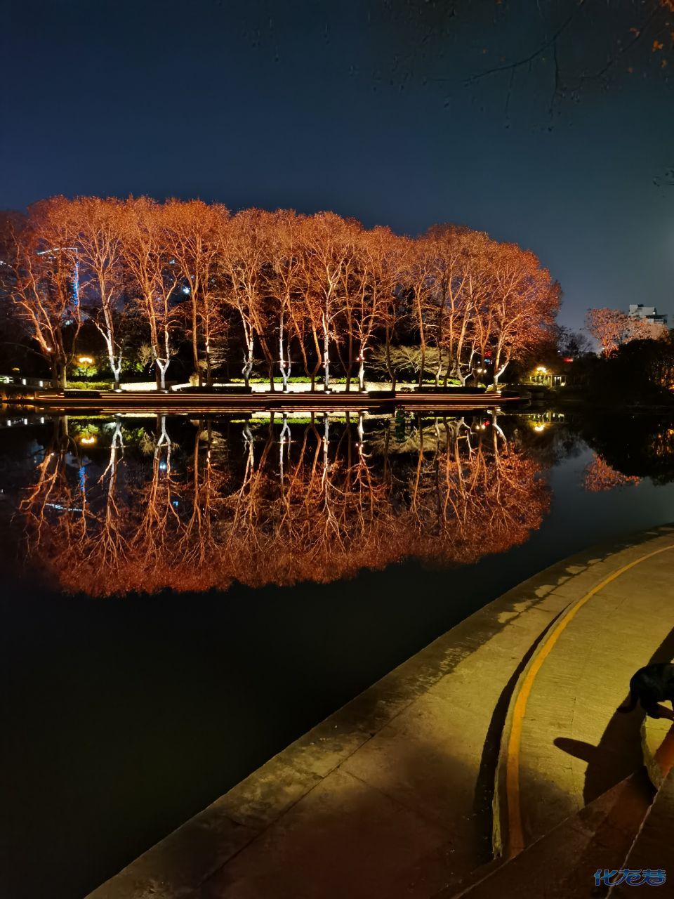 红梅公园夜景