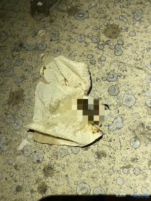 登录/注册后可看大图