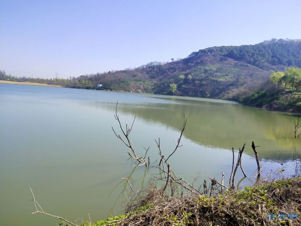 常州又多了一个旅游打卡圣地 :天宁查家湾.花千谷