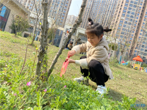 登录/注册后可看大图