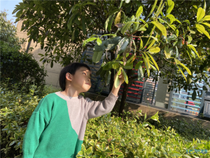 登录/注册后可看大图