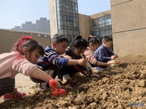 登录/注册后可看大图