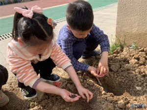 登录/注册后可看大图