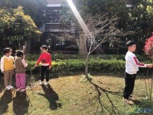 登录/注册后可看大图