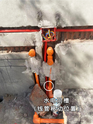 登录/注册后可看大图