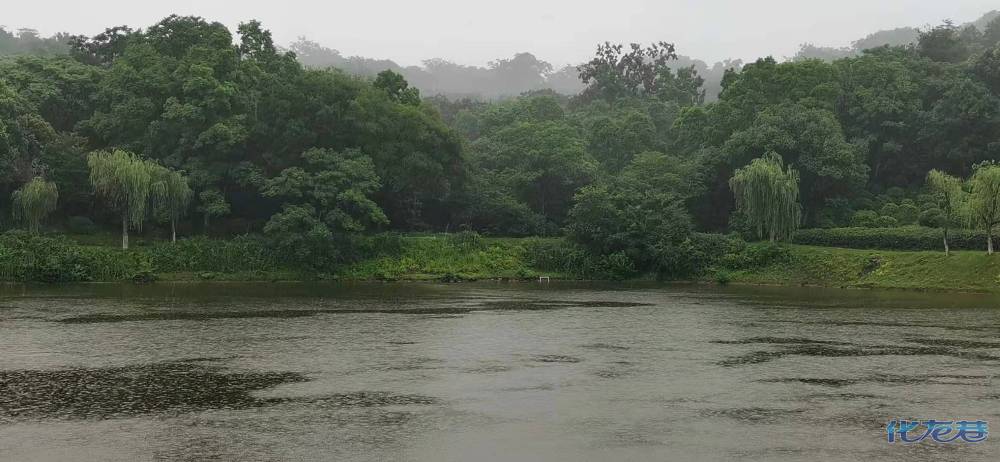 雨天,宜兴龙背山森林公园,景美,人.