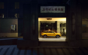 登录/注册后可看大图