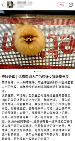 登录/注册后可看大图
