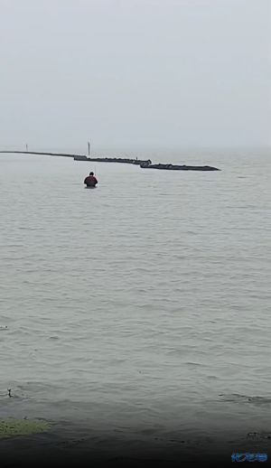 梦境之桥，解析梦到帮别人钓鱼的深层含义