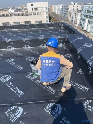 登录/注册后可看大图