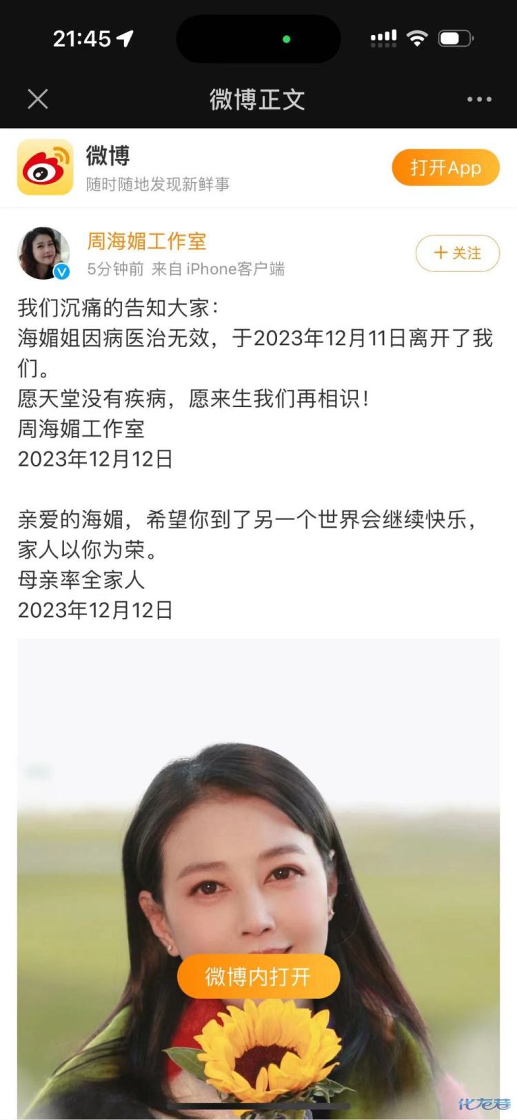 周海媚 