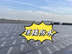 登录/注册后可看大图