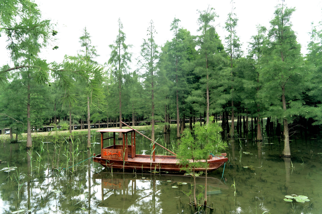 常州新龙生态林党建文化林落成开放