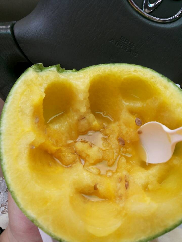 【PP游记】23号阳山自驾游帅哥美女欢乐多~