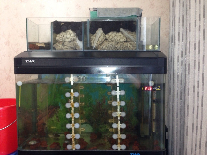 出佳宝80缸送自制上滤,400送上滤滴流盒还送