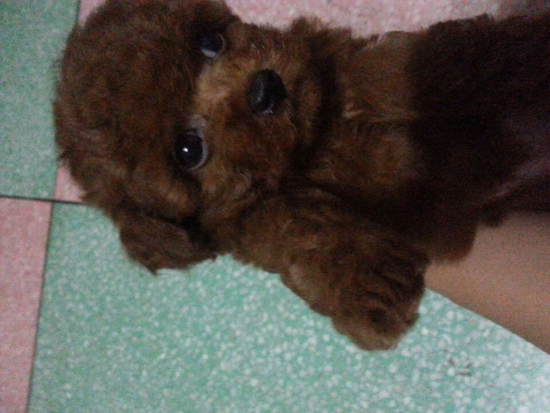 <em>外号外号</em>!强盗<em>萌妹子</em>大眼帅哥傻傻分不清楚!|宠