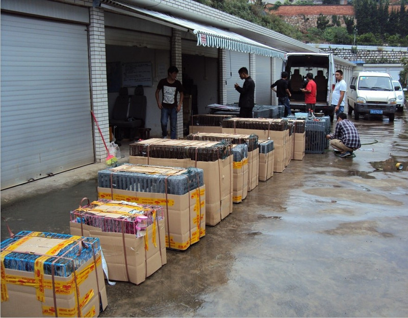 常州宠乐游|常州宠物托运 宠物汽运、宠物空运