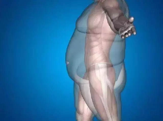 每个胖子的身体里都住着一个肌肉男