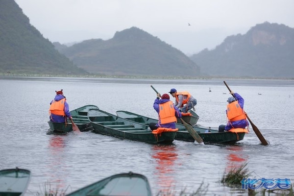 【兽血播娱乐】张震 大婚 嘉宾堪比 金马奖 ,日本