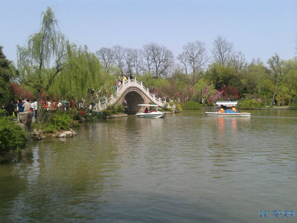 四月的扬州城,我愿化身石桥受五百年风吹,日晒