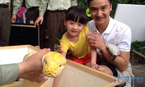 中记者是新的走红方式,<em>鸡排妹内衣店甩文胸</em>证