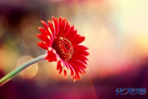 最美好的不是未来,是今天,好每个今天,让日子过