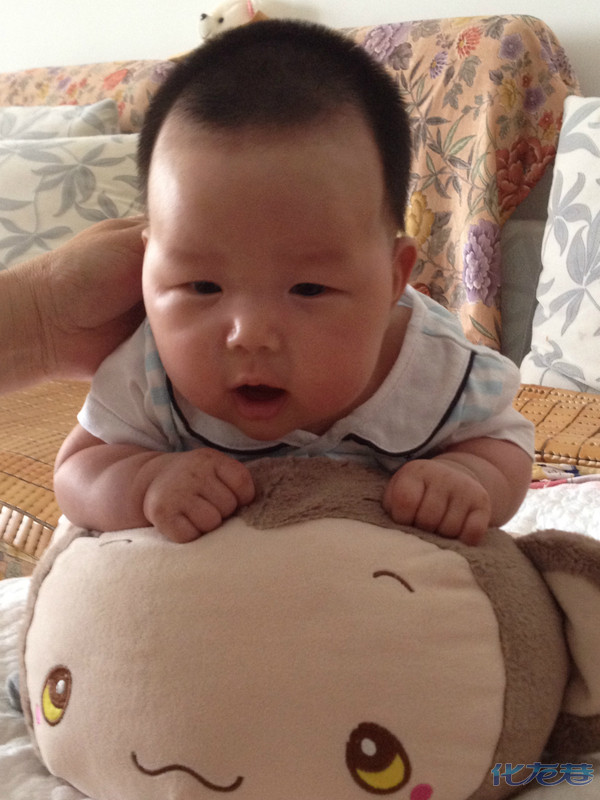 12月5日:<em>家有</em>豆宝,<em>小黄豆</em>美好生活的开篇 - 手机