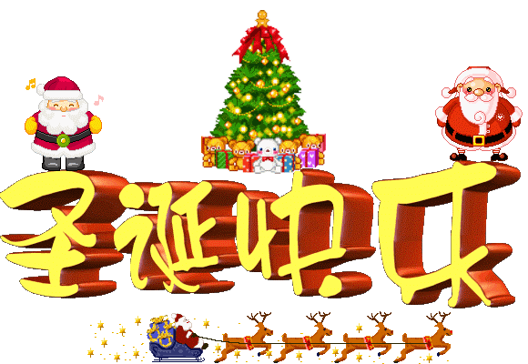 乐享圣诞 绽放礼遇-2014奥迪尊享平安夜