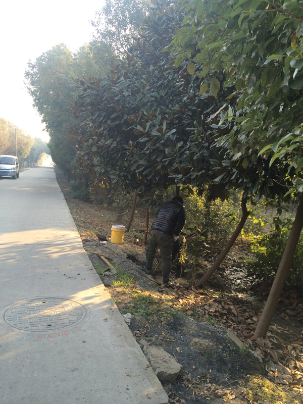 节约用水人人有责:武进埋地自来水管网漏水检