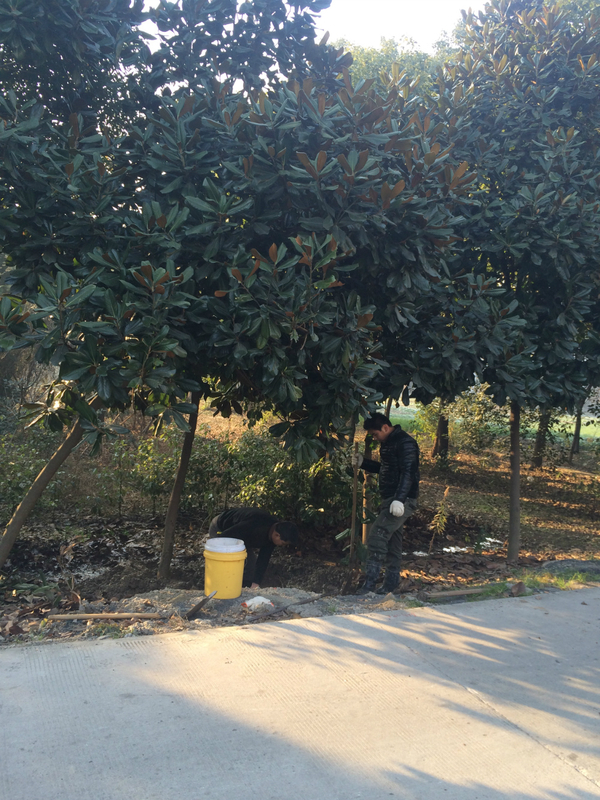 节约用水人人有责:武进埋地自来水管网漏水检