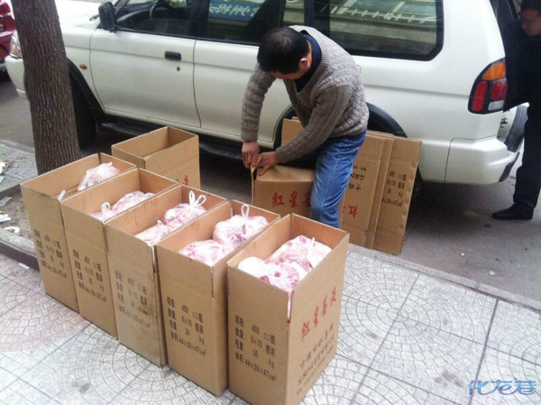 感谢所有参与化龙巷微公益之安徽泾县黑猪行动