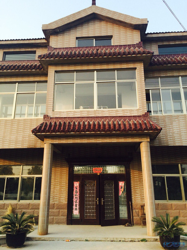 房子在郑陆镇,2010年建,占地800平米,有仓库,三层,旁边就是学校,公园