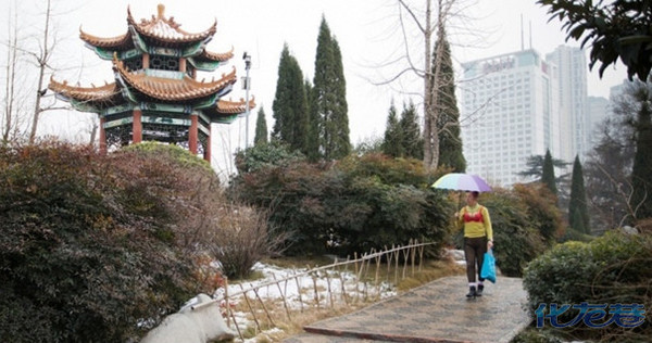 <em>郑州</em>街头惊现<em>胸罩哥郭力</em>, 馒头当胸部爱穿紧身