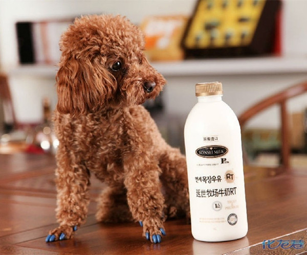 测试你的OUT指数:进口零食大排行,你吃过几个