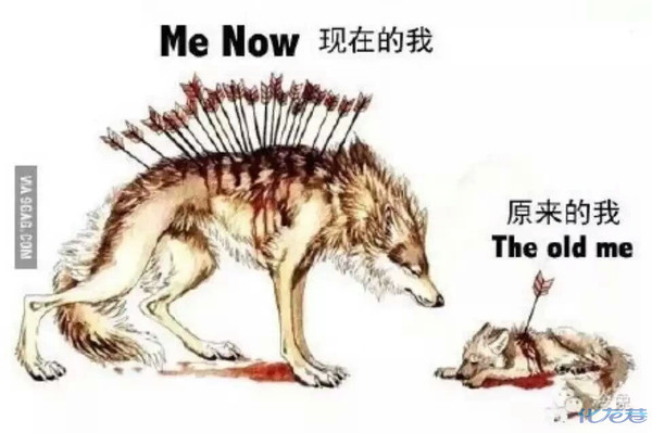 <em>单身</em>妹子请看这里<em>找女朋友</em> - 手机化龙巷