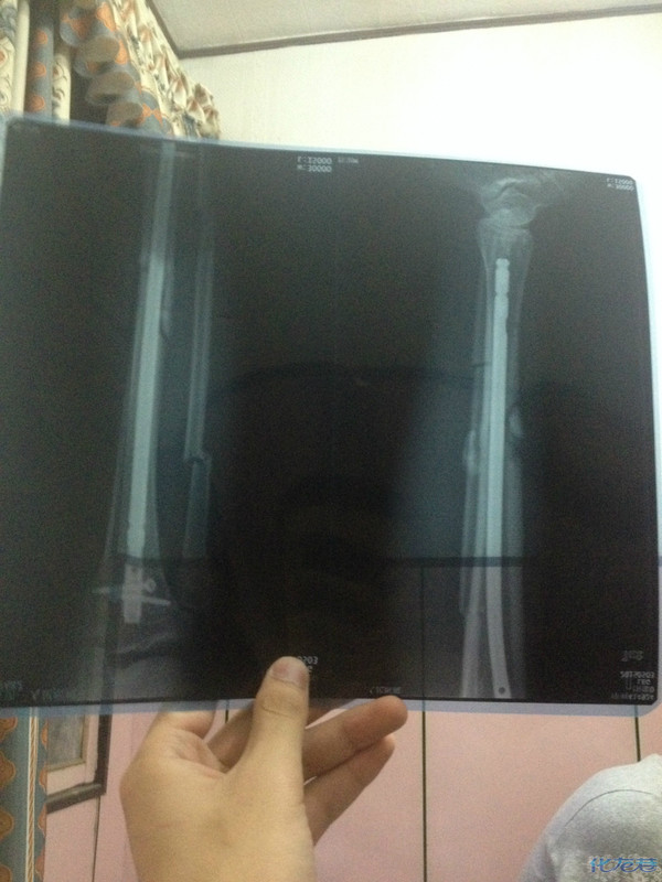 天下乌鸦一般黑政府还能为老百姓做点事吗 被