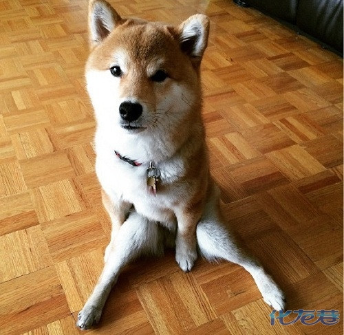 强烈吐槽电视版《<em>盗墓笔记</em>》,你还我原著!你能