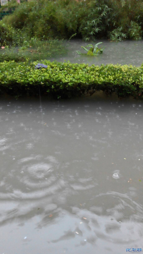 这天,不冷不热的,早点起来锻炼身体,伙伴们来吧