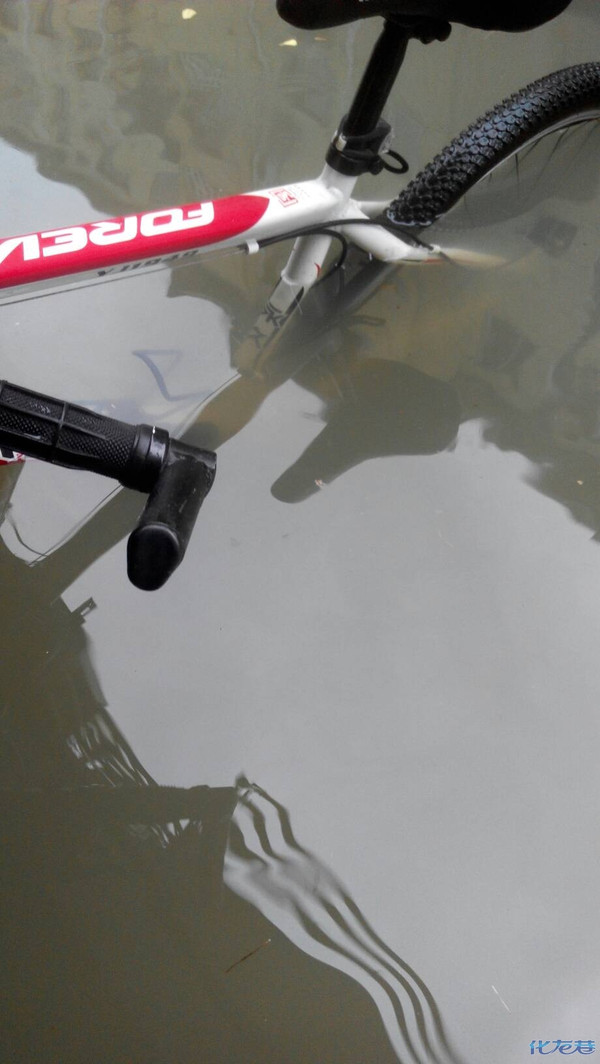 这天,不冷不热的,早点起来锻炼身体,伙伴们来吧