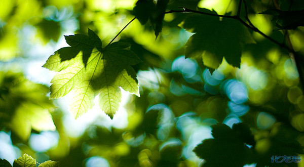 长大后的夏天到底去哪儿了?巷友们一起来说说