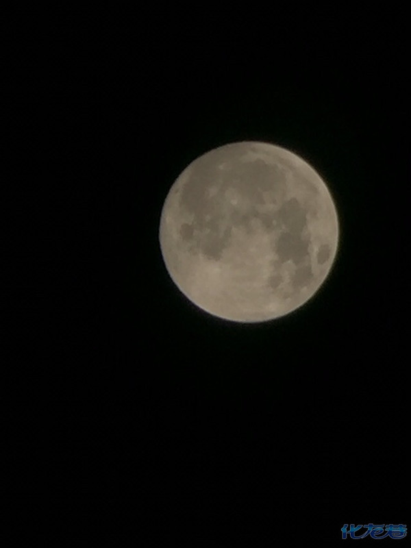 看我手机拍的大月亮,用了一个小望远镜对着拍