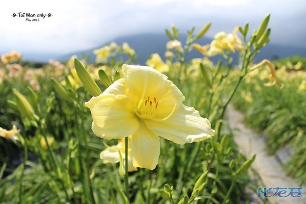 平凡之路& 台湾:寻找远方,遇见幸福8天7晚顺时