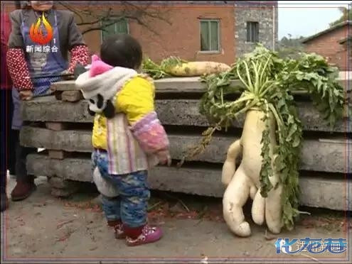 村民挖出宝贝 有胳膊有腿 - 手机化龙巷