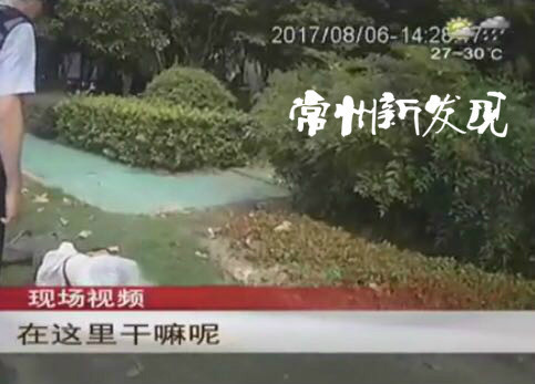 点击查看原图